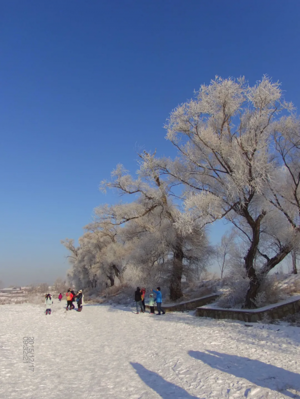 《12月限定丨國內旅行目的地指南》