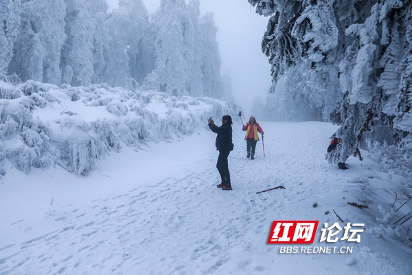 醉美！在冰雪世界裡，領略到了冬日限量版最美西晃山