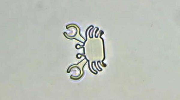 這款3D印表機器人可用於治療腫瘤 但外觀太Q萌