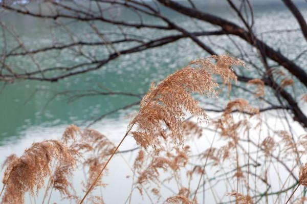 「春天裡的陝西」冰雪消融春漸濃