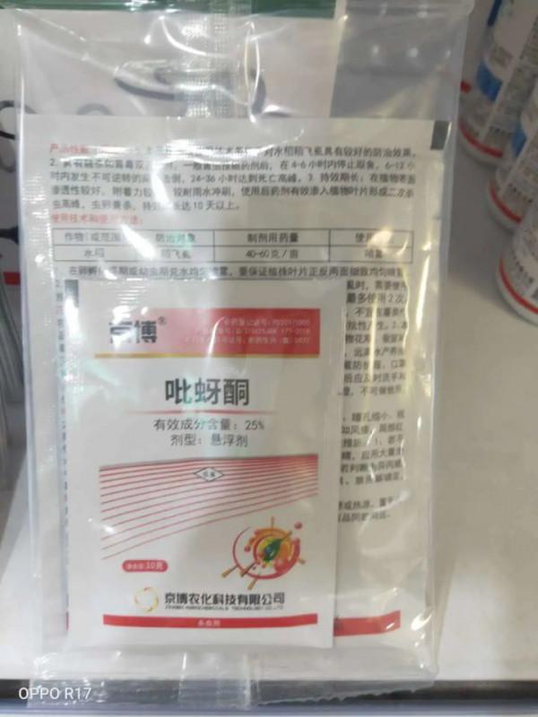 這7種多肉病蟲害,一到春天就爆發,及時處理很重要 這7種多肉病蟲害,一到春天就爆發,及時處理很重要