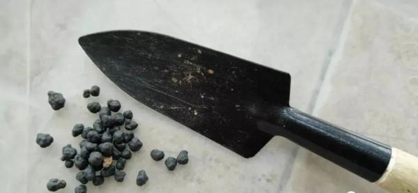 寒露已過,養多肉這些“大動作”可以開搞了,錯過就要等到明年春 寒露已過,養多肉這些“大動作”可以開搞了,錯過就要等到明年春