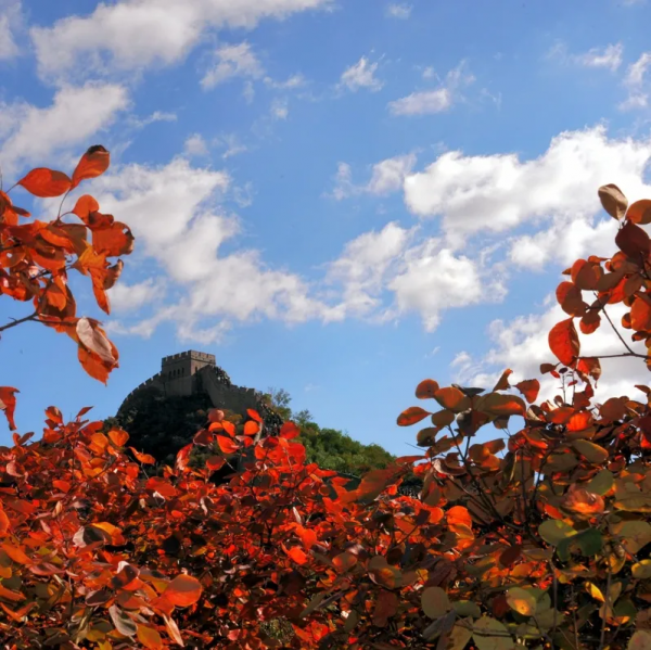 媯川秋韻（一） 精品自駕線路來襲，週末出遊不發愁～