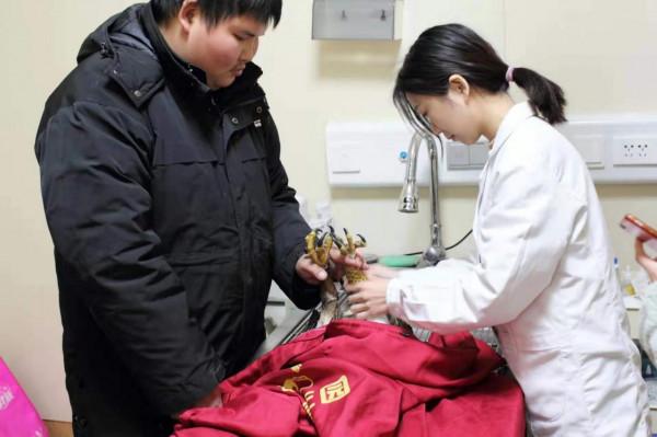 90後​“猛禽醫生”：救治的蒼鷹在天空飛行1000多天了