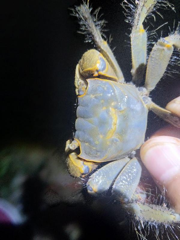 光會釣魚不算一個合格的釣魚人