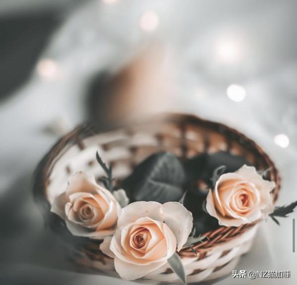 「推薦」改變自己，從控制體重開始