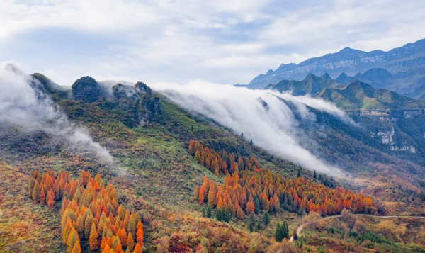 冬日，重慶美景圖鑑