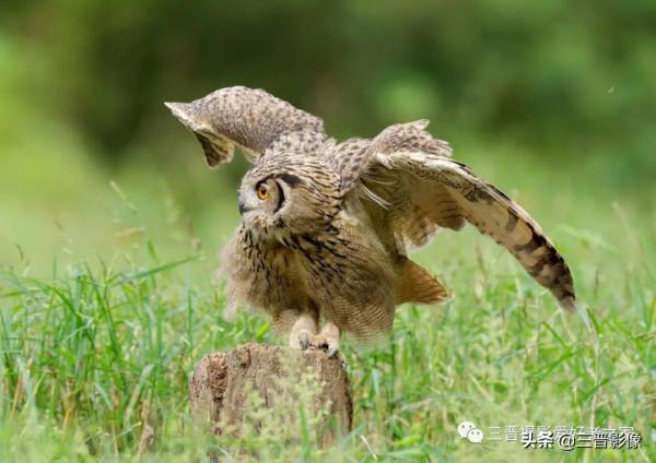 索尼A1相機體驗試拍結果：確實很強