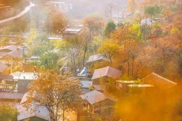 貫穿美景的靈魂公路,房山最“紅”賞秋打卡地 貫穿美景的靈魂公路,房山最“紅”賞秋打卡地
