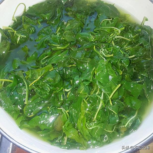 廣西人吃得真的很野，別人眼中的“糟糠”卻是無可替代的鄉土情懷