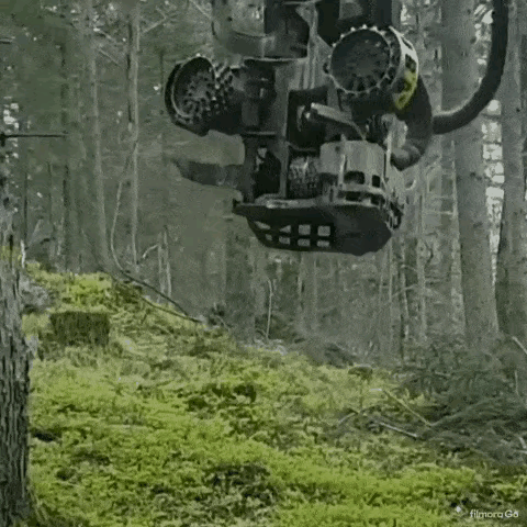 幾十張罕見照片，你見過幾張？