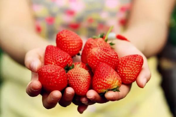 聰明人的生活方式：讀書、存錢、享受獨處