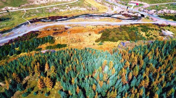 甘肅肅南：如詩如畫秋意濃