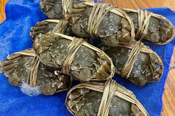 蒸大閘蟹時,最忌直接上鍋蒸,多加這一步,螃蟹鮮嫩入味不流黃 蒸大閘蟹時,最忌直接上鍋蒸,多加這一步,螃蟹鮮嫩入味不流黃