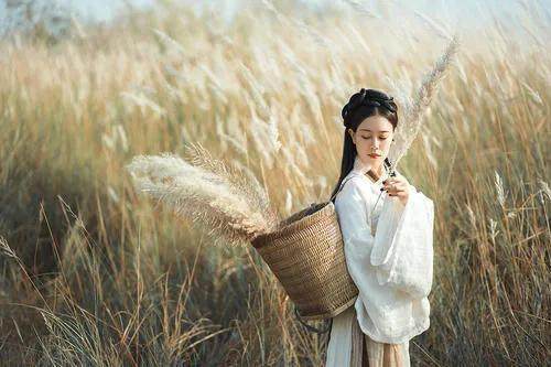 詠菊七絕三十首(30韻) 詠菊七絕三十首(30韻)