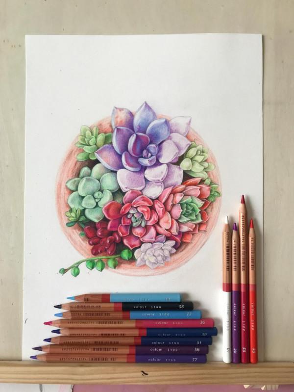 多肉植物彩鉛畫全過程（1-2）