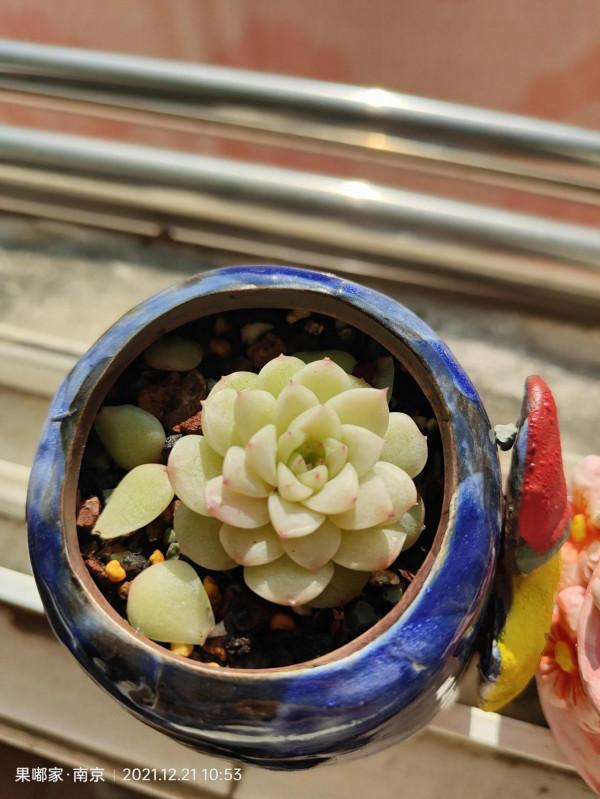 最近降溫，大家注意保暖哦