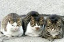 冬天雖冷,因為有你相擁而溫暖 冬天雖冷,因為有你相擁而溫暖