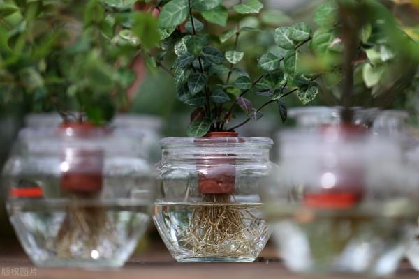 如何讓衛生間美觀大氣、舒適雅緻、空氣清新? 如何讓衛生間美觀大氣、舒適雅緻、空氣清新?