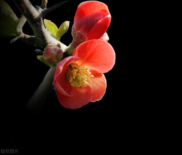 開啟心鎖，解開“心結”，用心溝通，凡事皆可解決