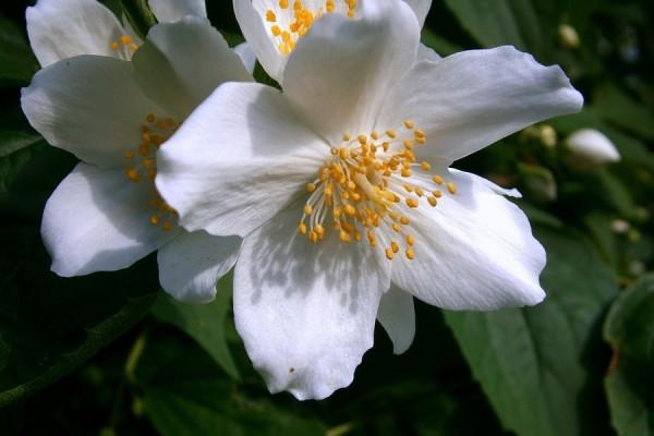 11.1-11.7十二星座事業運勢,巨蟹以學習為主,天蠍責任感爆棚 11.1-11.7十二星座事業運勢,巨蟹以學習為主,天蠍責任感爆棚