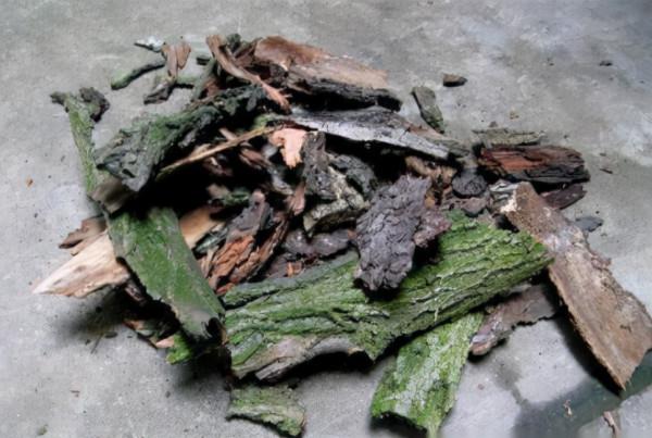 養花想根系好，配土&OpenCurlyDoubleQuote;顆粒&rdquo;不能少，這4種隨處可見，而且不花錢