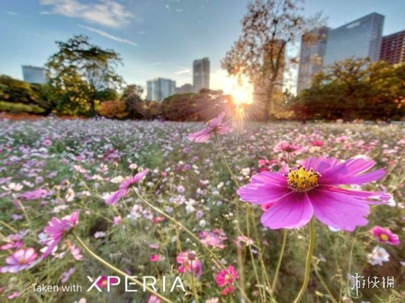 全面均衡的小屏手機——遊戲旗艦Xperia 5 III評測