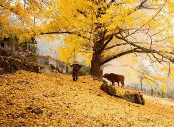 《孤獨星球》公佈今年國內10個最值得遊覽地區，帶上你的TA出發吧