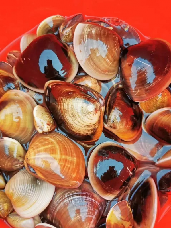 去什麼三亞?來廣東小眾海島,海景漂亮,人又少,海鮮還便宜 去什麼三亞?來廣東小眾海島,海景漂亮,人又少,海鮮還便宜