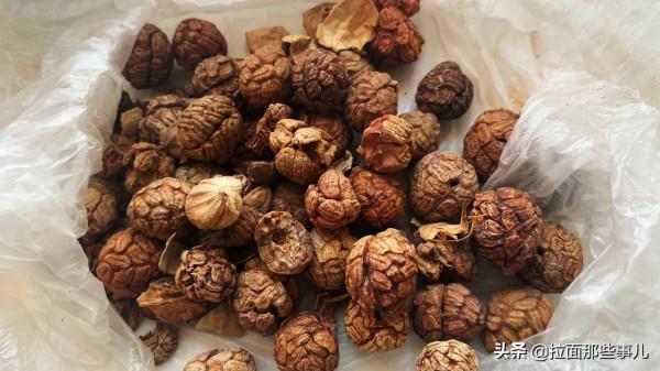 香辛料寶典：60種商用香料的用途和特性，香料該如何搭配？超實用