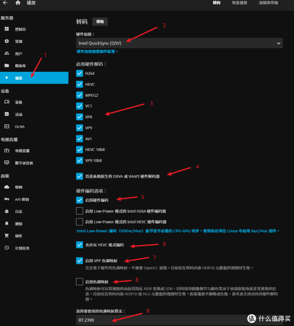 jellyfin新選擇，Nyanmisaka出品，即裝即硬解