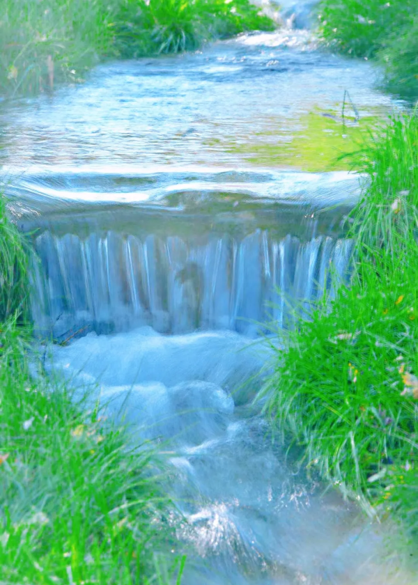 自帶濾鏡！最浪漫的秋天非她莫屬！