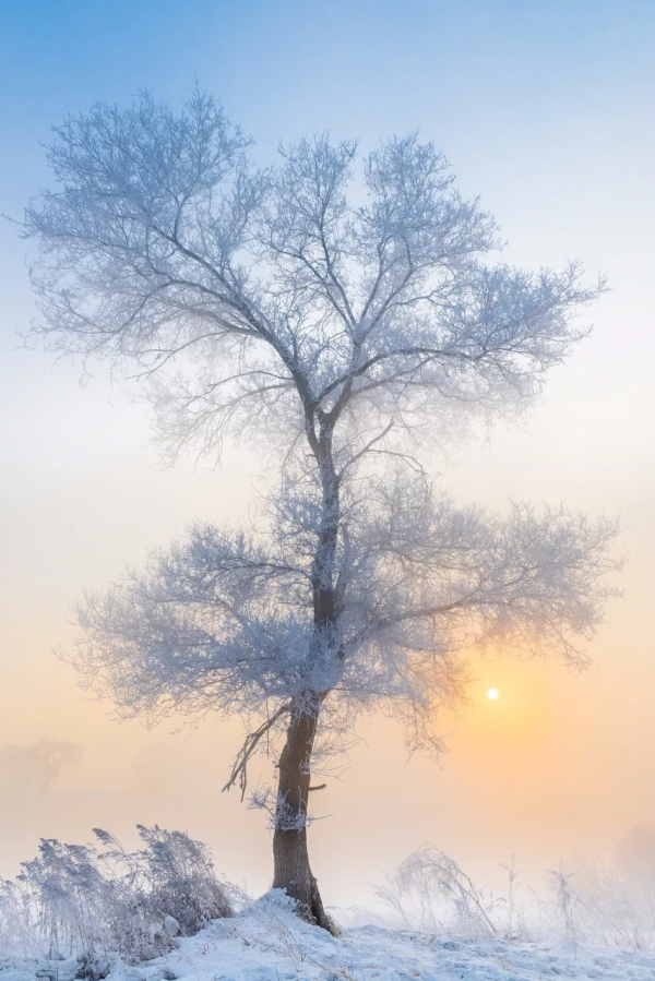 太美了！等一個人陪我去這11個地方，看看下了雪的中國