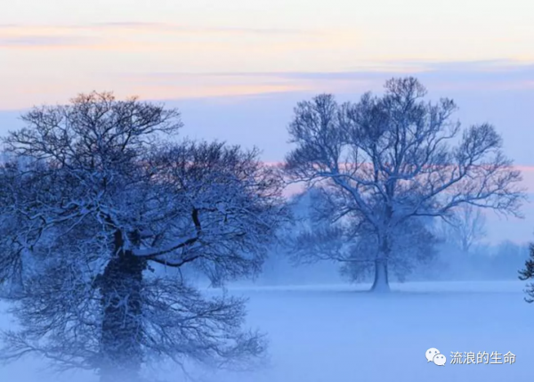 人活一輩子的意義是什麼? 人活一輩子的意義是什麼?