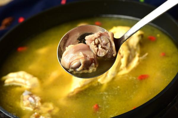 秋後多喝湯,不用醫生幫!魚湯、羊湯和雞湯,教你實用的燉湯技巧 秋後多喝湯,不用醫生幫!魚湯、羊湯和雞湯,教你實用的燉湯技巧