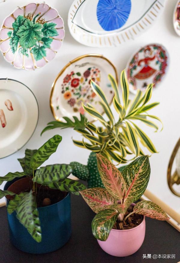 她曬出99㎡雜貨鋪一樣的小家，拒絕斷舍離，另類中帶著歲月靜好