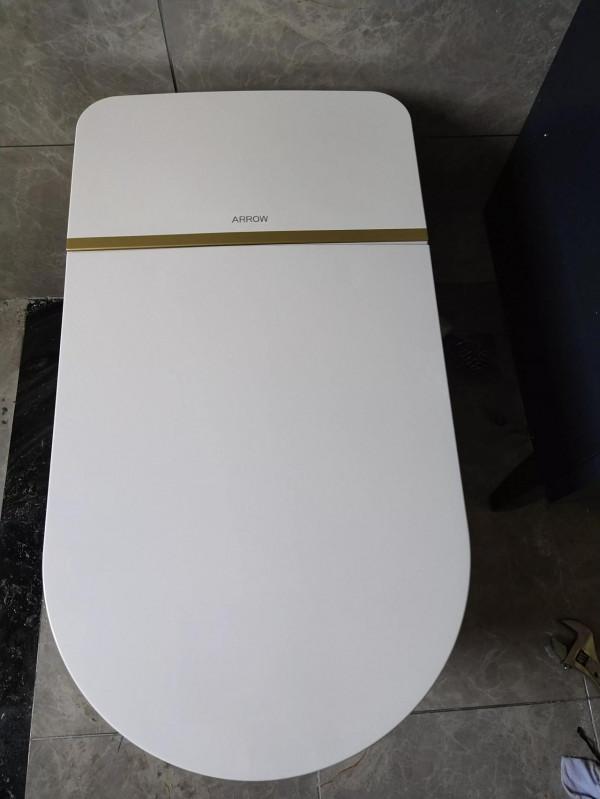 今天安裝的箭牌潔具