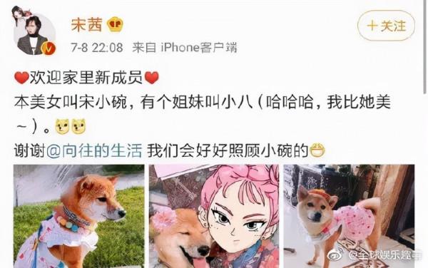 所以於正劇組虐貓了嗎