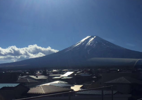魚肉已被剃掉,為何魚還活著?日本獨創的美食表現形式“骨泳” 魚肉已被剃掉,為何魚還活著?日本獨創的美食表現形式“骨泳”