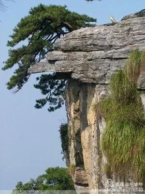 夢遊櫻螺山 夢遊櫻螺山