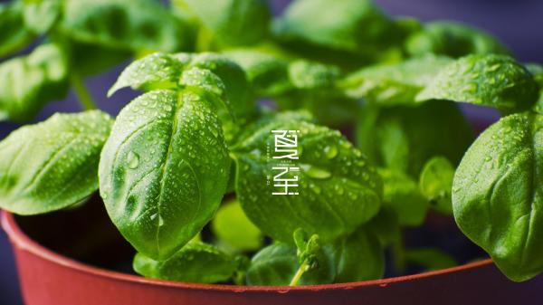 散文:夏至如約而至 散文:夏至如約而至