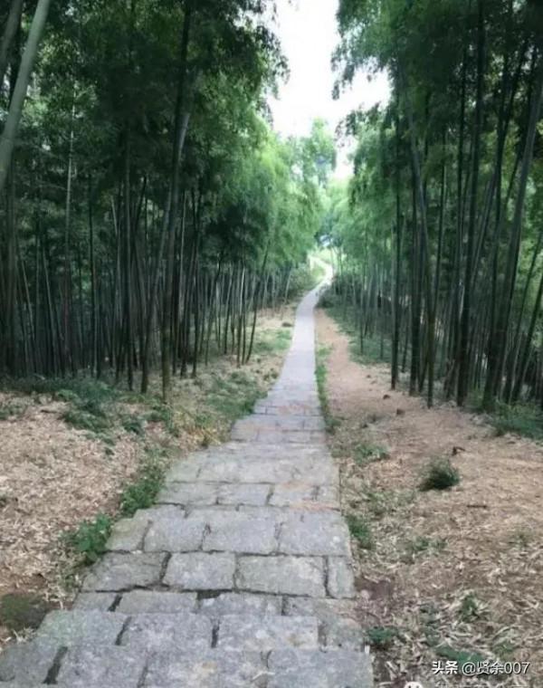 AAAA級景區莫干山一日遊