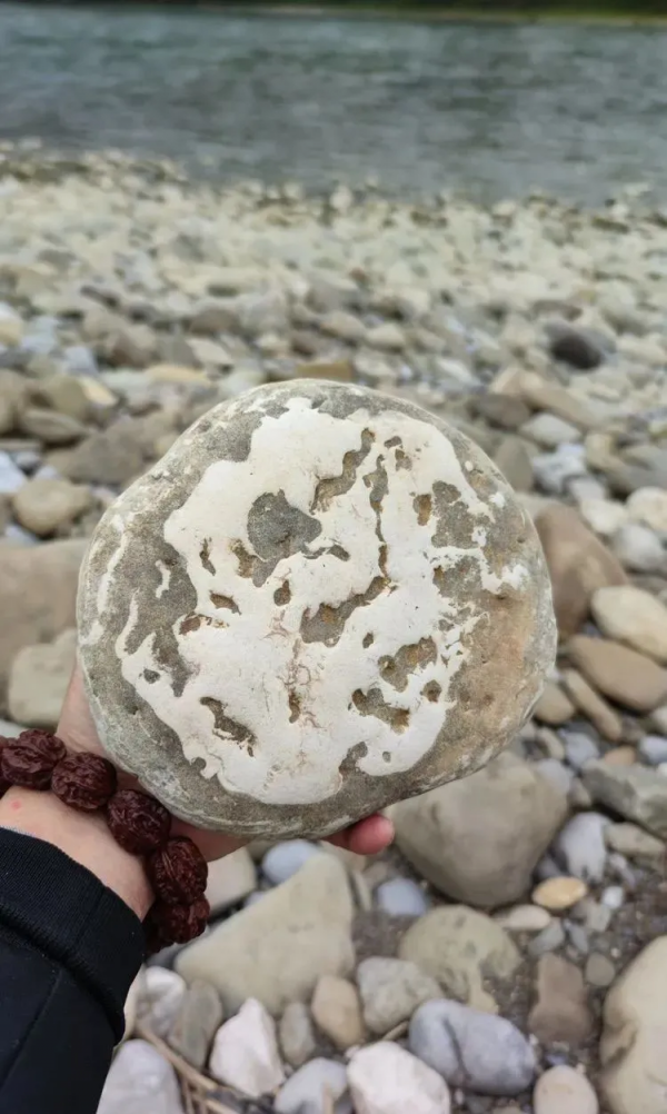 尋石樂趣——一腳踢出來的美石