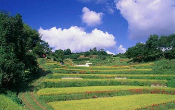 冬至||冬至上墳 冬至||冬至上墳