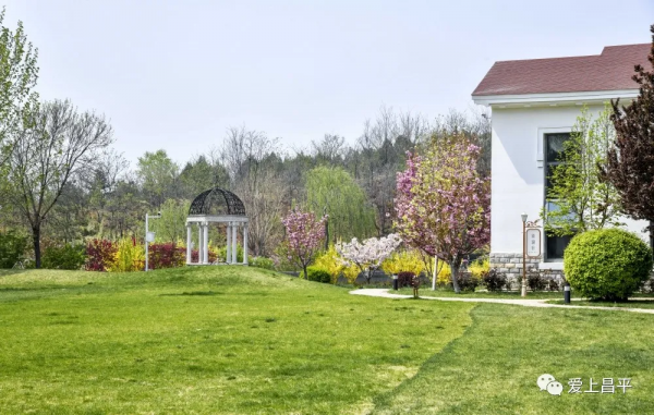 昌平夏末美景專屬地！藍天白雲，水鳥倒映，花田拍照......美不勝收！