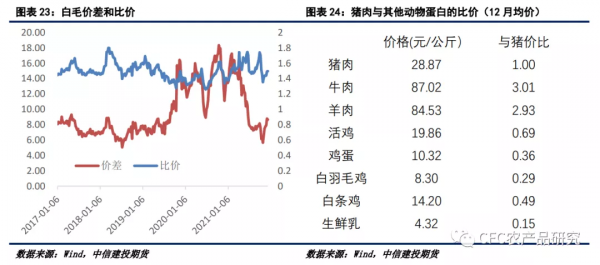 「2022生豬年報」告別非瘟時代，紅海逐浪而行