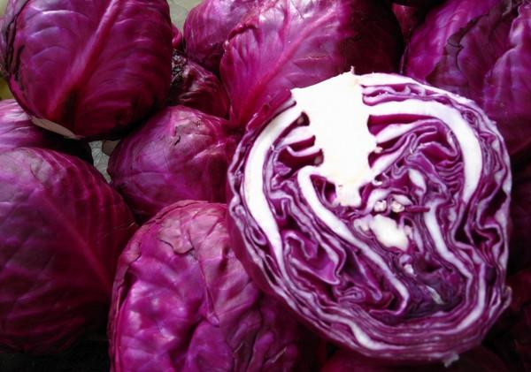 腸胃經常不舒服?試試這幾種食物,或有助修復胃黏膜,護胃養胃 腸胃經常不舒服?試試這幾種食物,或有助修復胃黏膜,護胃養胃