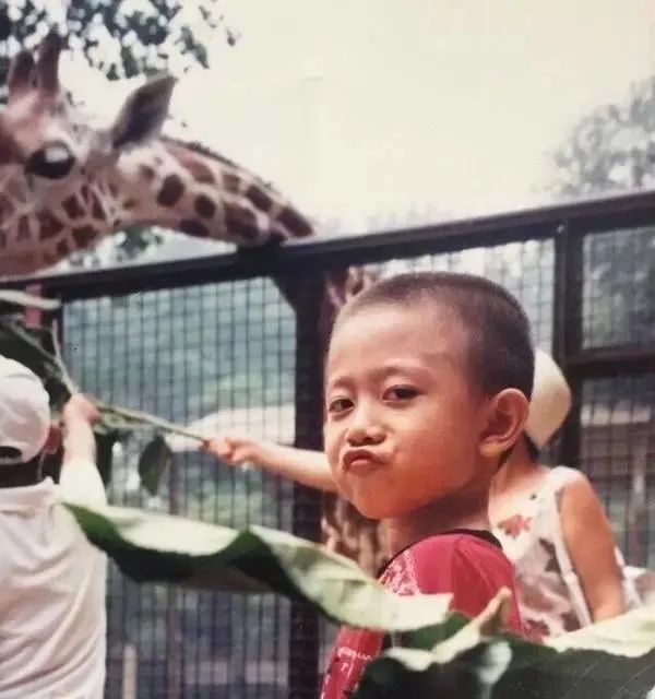 張一山:劉星已遠去,楊紫在身邊 張一山:劉星已遠去,楊紫在身邊