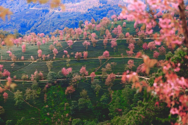 2021年國內旅行時間表出爐！承包你一整年的旅行