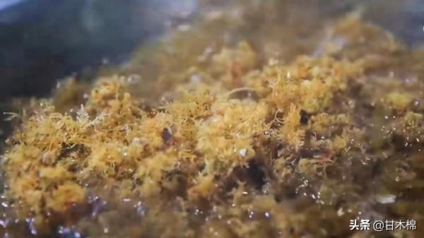 以下這些植物竟然是製作涼粉的原料?快來看看你認識多少種 以下這些植物竟然是製作涼粉的原料?快來看看你認識多少種